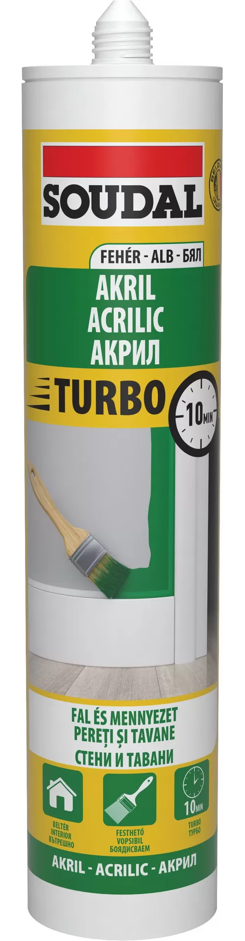 6-S-122878-MASTIC-ACR-EXPRESS-300ML-1^12