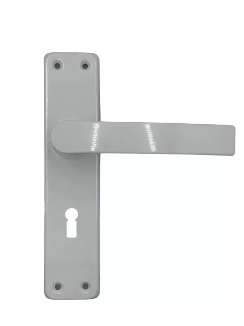 3-701~73-MANER-CU-SILD-ALB-P54