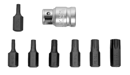 330325 SET BITI TORX T20-T55-1