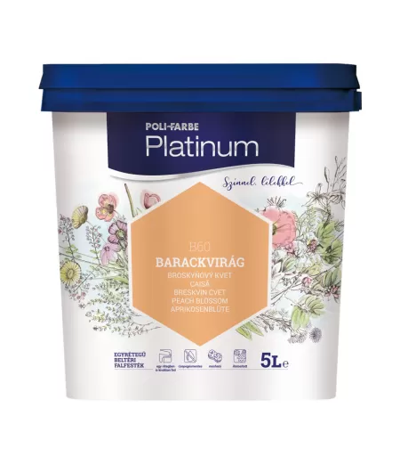 PLATINUM B60 5L CAISA-1