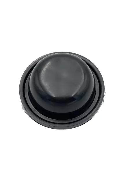 785-85 PICIOR NEGRU-1