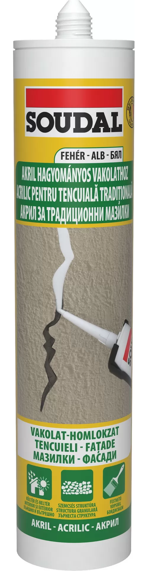 2-S-123109-MASTIC-ACRILIC-STRUCTURAT-300ML