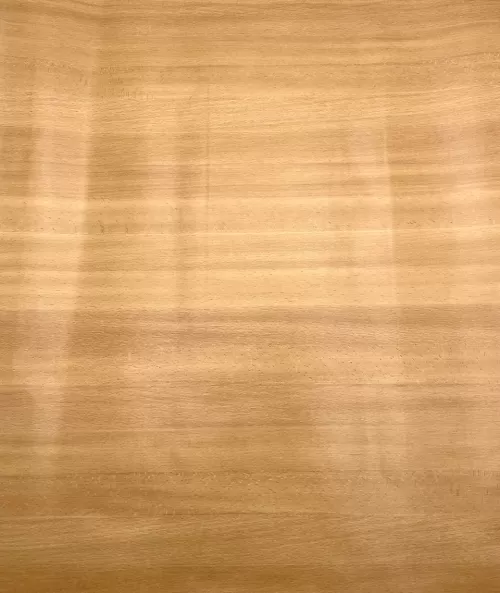 10-COLANT-90CM-200~5356