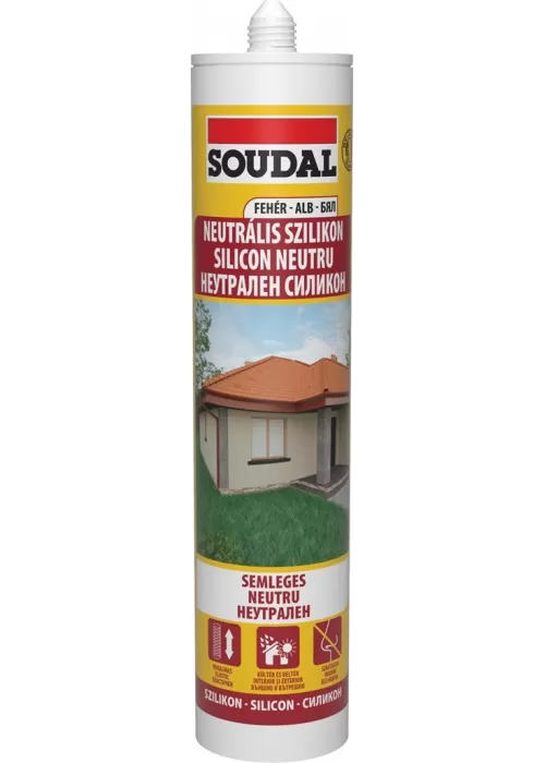 2-S-103246-SILICON-NEUTRU-ALB-300ML-1^15
