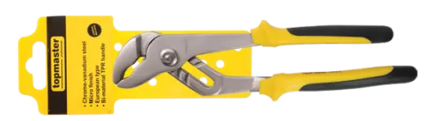 8-210156-CLESTE-PAPAGAL-250~D4