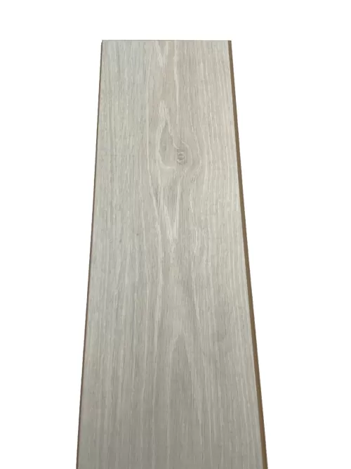 1-PARCHET-FSX02-ALACATI-8^31-2_374MP^PACHET