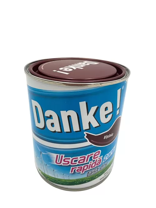 1-DANKE-EMAIL-VISINIU-4L