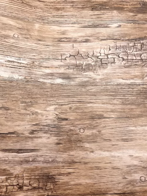 5-COLANT-45CM-200~2813