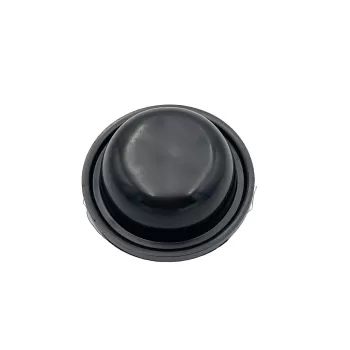 785-85 PICIOR NEGRU-1