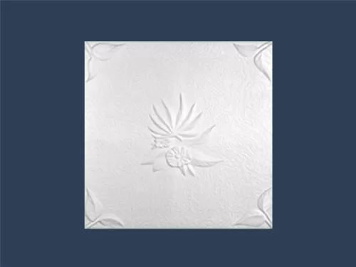 6-TAVANE-MM-NATURA-1^16MP