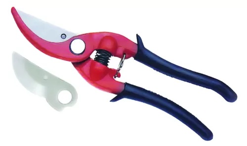 12-382505-FOARFECA-PT-VIE-CU-LAMA-REZ