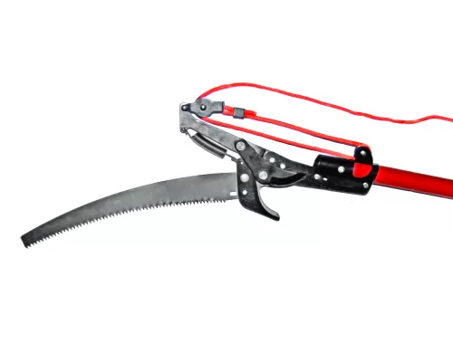 5-380110-FOARFECA-POMI-PARGHIE