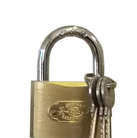 GS-AL38 LACAT AUTOMAT CLASIC 3 CHEI BRONZ 38MM-1