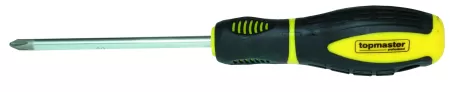 221582 SURUBELNITE STEA PH2 6*100MM-1