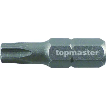 330359 SET 2 BUC BITI TORX-1