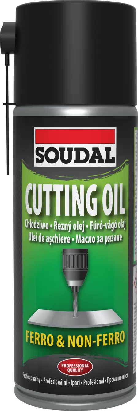 S 130719 SPRAY ASCHIERE 400ML-1