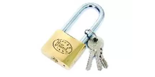 7-500709-LACAT-BRONZ~LUNG-38MM