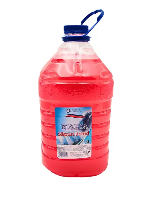 11-SAPUN-LICHID-5-L