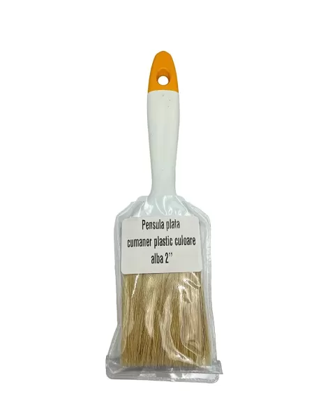 050402 PENSULA PLATA 2-1