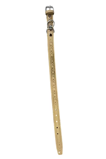 CUREA CAINE PIELE CU VARTEJ 3*63 CM  B1862-1