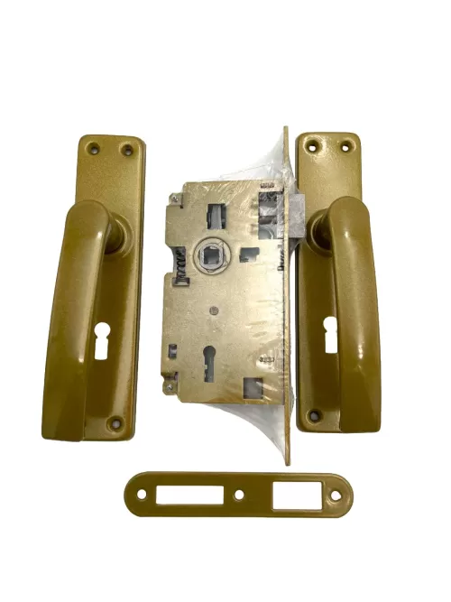 11-35~503-PACHET-P54-ORO