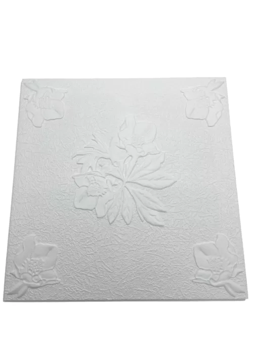 6-TAVANE-MM-FLORA-20^BAX